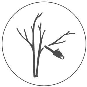 tree pruning icon