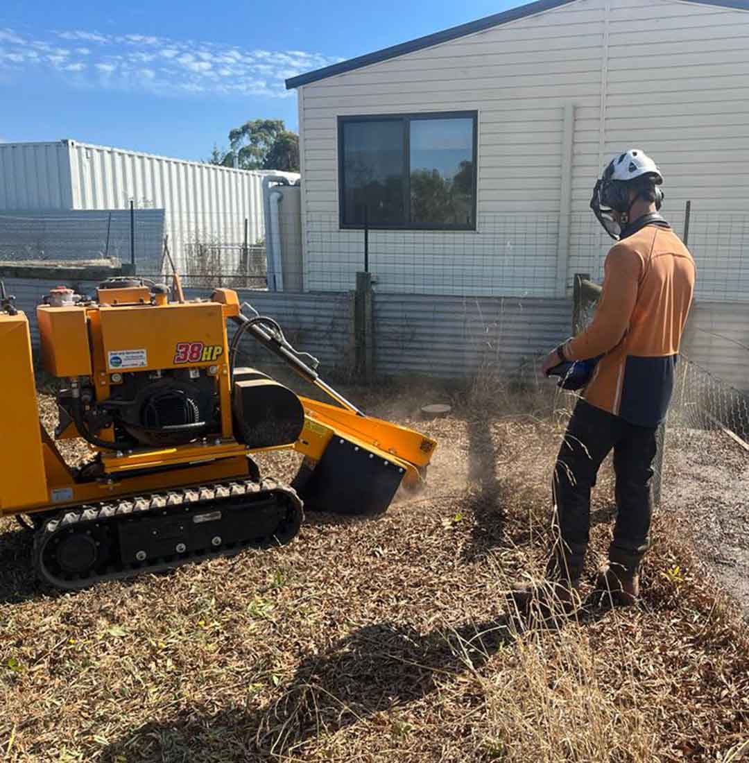A tree worker completing a stump removal job using a stump grinder machine.