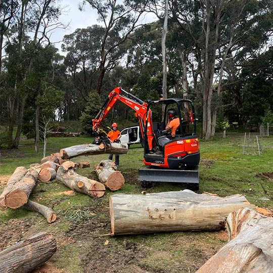 The ascent tree solutions team using top of the range equipment to move the timber after a tree removal.