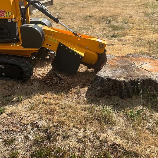 A stumpgrinder getting rid of the stump a macedon ranges tree removal.