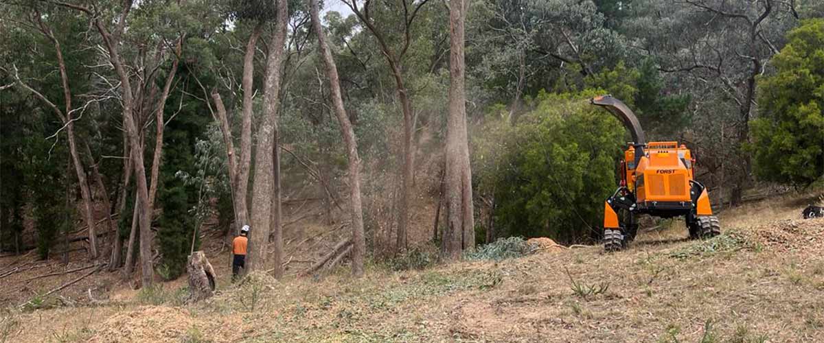 Woodchipper spraying mulch after completing a large malmsbury tree removal.