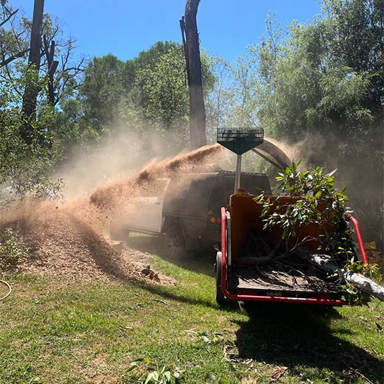 A woodchipper spraying mulch into a pile as branches are fed through it.