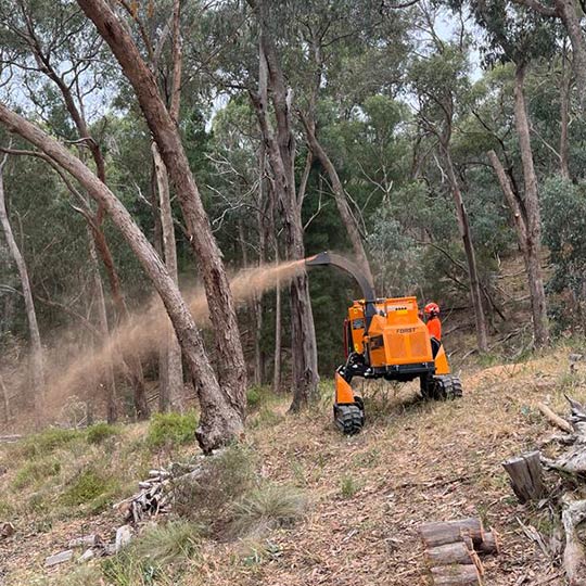 The woodchipper at ascent trees working hard to spray muclh after processing branches from a tree.